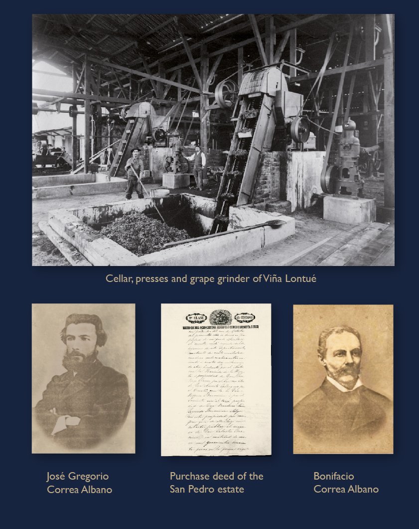 The Beginning of a Legacy in Chilean Winemaking